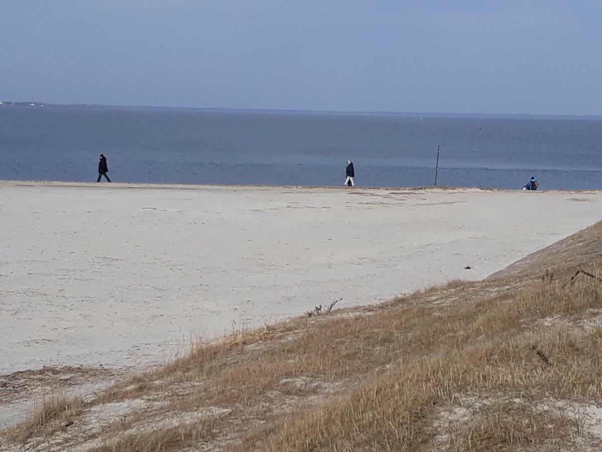 Familienurlaub In Ostfriesland Fuer Max 7 Pers In 2 Wohnungen, Auch Einzeln Wohnungen Utarp Buitenkant foto
