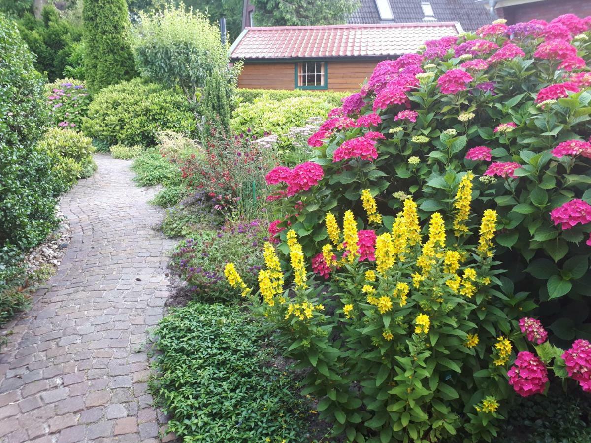 Familienurlaub In Ostfriesland Fuer Max 7 Pers In 2 Wohnungen, Auch Einzeln Wohnungen Utarp Buitenkant foto